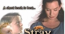 Filme completo Stray Dogs