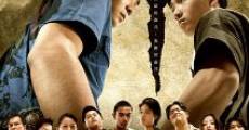 Sui yue: The Days streaming
