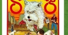 Summerdog film complet