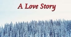 Superstorm A Love Story