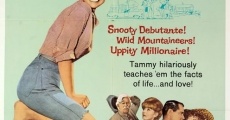 Tammy and the Millionaire (1967)