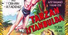 Tarzan Istanbulda (1952)