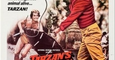 Tarzan's Deadly Silence (1970)