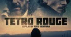 Tetro Rouge film complet