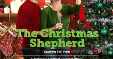 The Christmas Shepherd