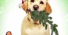 The Dog Who Saved Christmas film complet