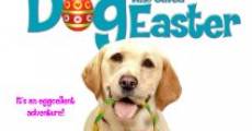 The Dog Who Saved Easter film complet