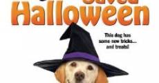 Filme completo The Dog Who Saved Halloween