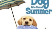Filme completo The Dog Who Saved Summer