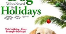 The Dog Who Saved the Holidays film complet