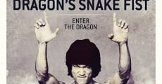 Filme completo The Dragon's Snake Fist