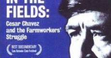 The Fight in the Fields film complet