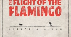 Filme completo The Flight of the Flamingo