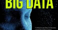 The Human Face of Big Data