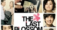 The last blossom streaming