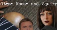 Filme completo The Maltese Moose and Squirrel