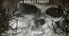 The Poltergeist of Borley Forest streaming