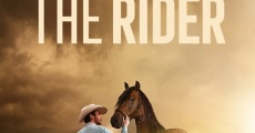 The Rider streaming