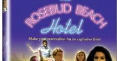 The Rosebud Beach Hotel film complet