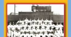 The Seattle Pilots: Short Flight Into History streaming
