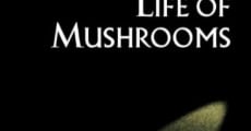 The Secret Life of Mushrooms