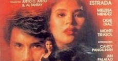 The Secrets of Sarah Jane: Sana'y mapatawad mo (1994)