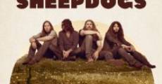 The Sheepdogs Have at It film complet