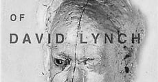 The Short Films of David Lynch