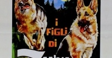 I figli di Zanna Bianca film complet