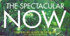 The Spectacular Now (2013)