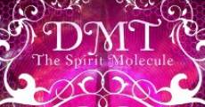 DMT: The Spirit Molecule (2010)