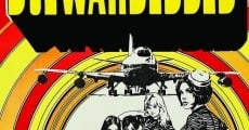 The Stewardesses film complet