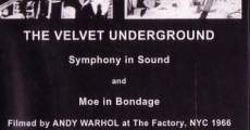 Filme completo The Velvet Underground and Nico: A Symphony of Sound