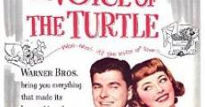 The Voice of the Turtle film complet