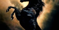 The Young Black Stallion film complet