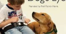 Through a Dog's Eyes film complet