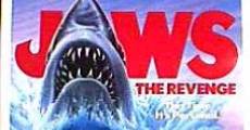 Jaws, The Revenge (aka Jaws 4) film complet
