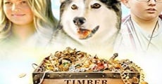 Timber the Treasure Dog film complet