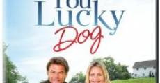 You Lucky Dog film complet