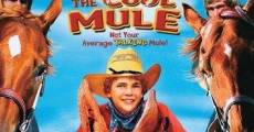 Tommy and the Cool Mule (2009)