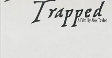 Treasure Trapped (2014)