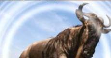 Filme completo Trek: Spy on the Wildebeest