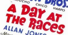 A Day at the Races film complet