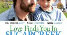 Love Finds You in Sugarcreek, Ohio film complet