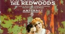 A Romance of the Redwoods film complet