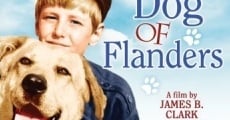 A Dog of Flanders film complet