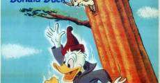 Walt Disney's Donald Duck: Up a Tree film complet