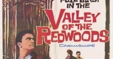 Valley of the Redwoods streaming