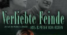 Verliebte Feinde film complet