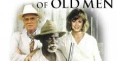 A Gathering of Old Men film complet